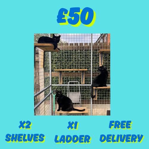 FLASH DEAL - £50 DELIVERED